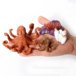 Simulation Green Bean, Cicada, Octopus, Centipede, Horseshoe Crab, Crocodile, Scorpion, Wasp Growth Cycle Model Figures Educatio