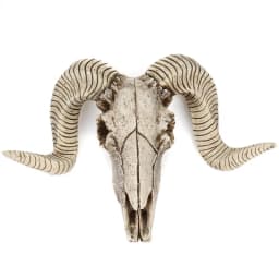 Resin Skeleton Ram Sheep Head Skull Head Wall Hanging 3D Animal Longhorn Sculpture Figurines Crafts Horns Home Decor Ornaments