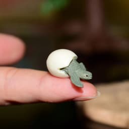 Miniature Oceans Animal Model Turtle Alligator Whale Shark Dolphin Penguin Clownfish Frog Sea World Mini Figurine Decor Toys