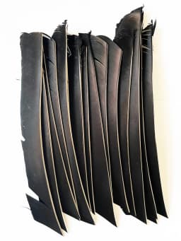 LW 50 Pcs Full Length (7-10 inch) Archery Fletches Natural Tureky Feathers Hunting Arrow Fletching for Bow DIY Accessories