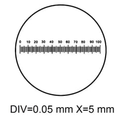 Eyepiece Micrometer Diameter 19mm Optical Glass Cross Ruler Net for Biogolical Microscope 23.2mm Ocular DIV 1 0.1 0.05 0.2 mm