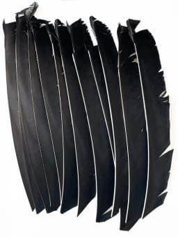 100PCS 18-25CM Full Length Turkey Arrow Feathers DIY Hunting Bow Arrow Accessories Archery Fletching Right Wing Vanes