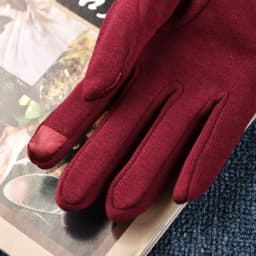 Women Autumn Winter Keep Warm Touch Screen Plus Velvet Inside Cycling Windproof Elasticity Gloves Female Simple Style Soft Thick