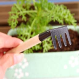 Hot Selling 3PC/set Mini Garden Hand Tool Kit Plant Gardening Shovel Spade Rake with Wood Handle Metal Head for Gardener