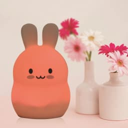 Touch Sensor Rabbit Night Light Remote Control 9 Colors LED Dimmable Timing Rechargeable Silicone Animal Lamp for Kids Baby Gift