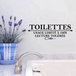 French Humor "Toilettes Usage limite a 5 mn ..." Vinyl Wall Sticker Washroom WC Wall Decals Wall Art For Home Toilet Decoration