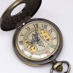 Bronze Mechanical Pocket Watch Solid Wood FOB Chain Roman Dial Hollow Steampunk Skeleton Mens Womens Clock Watches PJX1396