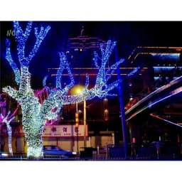 10M 20M 30M 50M 100M LED string Fairy light holiday Patio Christmas Party Wedding decoration AC 220V/110V outdoor garland light