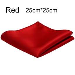 Ricnais Classic Silk Handkerchiefs Solid 25cm*25cm Hanky Red Gold Champagne Pocket Square For Man Wedding Business Party