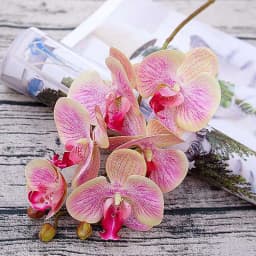 3D Small Butterfly Orchid 6 Heads/Bundle Fake Flower Home Drapery Wall Wedding Decoration Christmas Diy Artificial Phalaenopsis
