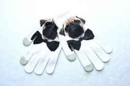 Lovely Unisex Animals Digital Pattern Cat Winter Elastic Knit Touch Screen Gloves Men Women Warm Full Finger Dancing Gloves B48