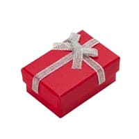 4x6cm Jewelry Boxes Pealr Paper Gift Boxes for Jewellery Packaging Display Earring Necklace Pendant Ring Box with White Sponge