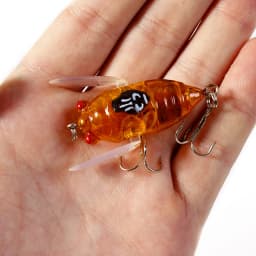 1pcs Simulation Cicada Hard Fake Bait Fishing Lure 5cm 6g Bionic Iscas Artificial Wobblers Crankbait Pesca Insect Pike Tackle