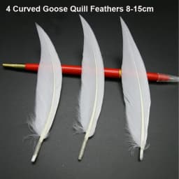 50Pcs/Lot! White Ostrich Goose Pheasant Feathers for Crafts Chicken Turkey Feather Wedding Party Accessories Decoration Plumes