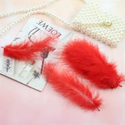 Natural Feathers 10-15cm Turkey Plume 4-6 Inches Chicken Feather Colorful Plumas Para Manualidades For Wedding Dress Decoration