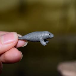 Miniature Oceans Animal Model Turtle Alligator Whale Shark Dolphin Penguin Clownfish Frog Sea World Mini Figurine Decor Toys