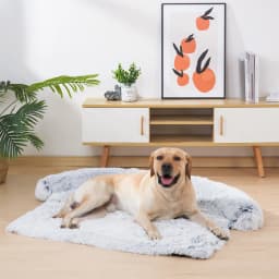 Washable Pet Sofa Blanket, Calming Bed for Large Dogs, Warm Cat Bed Mat, Couches Car Floor, Furniture Protector, Winter