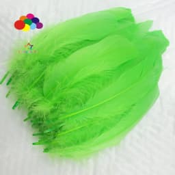 100PCS Soft Goose Feathers 5-7 Inch/13-18cm For Wedding Party Decoration Carnival Diy Facinator