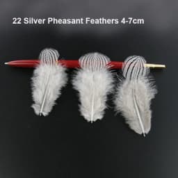 50Pcs/Lot! White Ostrich Goose Pheasant Feathers for Crafts Chicken Turkey Feather Wedding Party Accessories Decoration Plumes