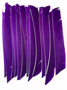 100PCS 18-25CM Full Length Turkey Arrow Feathers DIY Hunting Bow Arrow Accessories Archery Fletching Right Wing Vanes