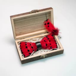 EASTEPIC Handmade Feather Bow Tie Brooch Wooden Box Set Men's Exquisite Accessories for Wedding Party Birthday Gift Necktie