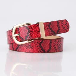 Trend new Ladies Belt snake pattern PU leather Pin buckel Belt Fashion simple jeans belt wind Women's Belt