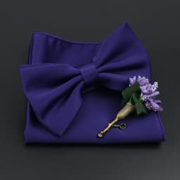 Mens Wedding Bow Tie Brooch Set Romantic Solid Color Silk Polyester Jacquard Woven Bowtie Lapel Pin Hanky Men Gifts Accessories