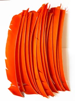 LW 50 Pcs Full Length (7-10 inch) Archery Fletches Natural Tureky Feathers Hunting Arrow Fletching for Bow DIY Accessories