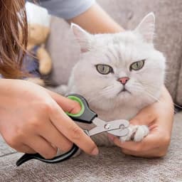 Dog Claw Trimmer Scissor Pet Nail Clipper For Cats Dogs Puppies Kittens Hamsters Rabbits Small Animals Grooming Supplies