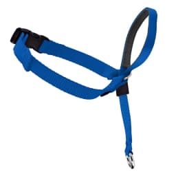 Adjustable Nylon Dog Pet Dog Padded Head Collar Gentle Halter Leash Leader Stop Pulling Training Muzzle Tools dog accessories