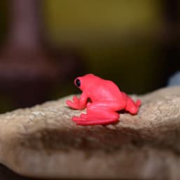 Miniature Oceans Animal Model Turtle Alligator Whale Shark Dolphin Penguin Clownfish Frog Sea World Mini Figurine Decor Toys