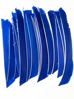 100PCS 18-25CM Full Length Turkey Arrow Feathers DIY Hunting Bow Arrow Accessories Archery Fletching Right Wing Vanes