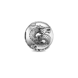 Beads Dragon Nazar Eye Clover Kathmandu Shell Wings Snake Tiger Sun Fish OM Knot Europe Karma Charms Jewelry Accessories