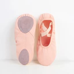 Ballet Dance Shoes for Women Girls Split Soft Sole Stretch Canvas Ballet Slippers Elastic Fabric Professional Ballet Shoes