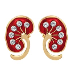 1 Pair Kidney Shape Pin Medical Jewelry as Gift for Nephrologist/Doctors Red Crystal Enamel Jewellery Women Lapel Pin Shirt Bag