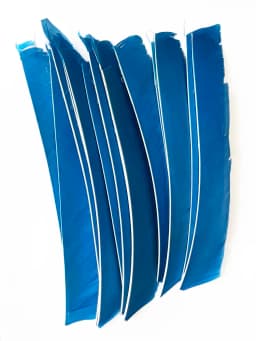 100PCS 18-25CM Full Length Turkey Arrow Feathers DIY Hunting Bow Arrow Accessories Archery Fletching Right Wing Vanes