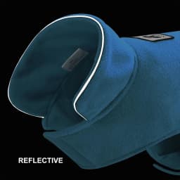 Benepaw Windproof  Warm Fleece Pet Clothing For Small Medium Large Dogs Winter Reflective Leash Hole Puppy Dog Clothes Jacket