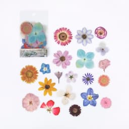 40 Pcs/pack Assorted Plant Flower Mushroom Ginkgo Pet Decorative Diary Stickers Sticky Notes for Scrapbooking Planner Stationery