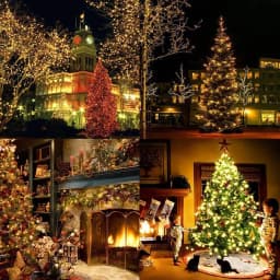 Outdoor 10M 20M 30M 50M Waterproof LED String Lights 24V Fairy Garden Lights Garland for Christmas Tree Party Wedding Decoration