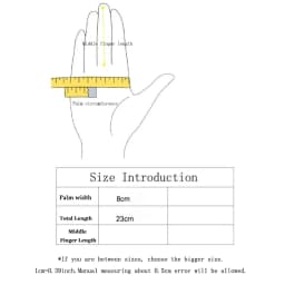 Winter Suede Leather Internal Plush Thicken Touch Screen Driving Gloves Woman's Outdoor Riding Belt Embroidery Warm Gloves R28
