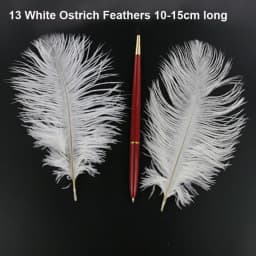 50Pcs/Lot! White Ostrich Goose Pheasant Feathers for Crafts Chicken Turkey Feather Wedding Party Accessories Decoration Plumes