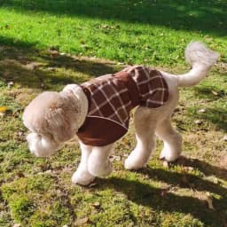 Warm Thicken Big Dog Coat Jacket for Medium Large Dogs Winter Pet Clothes Greyhound Wheeling Clothing Mascotas Ubranka Dla Psa