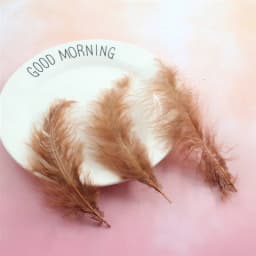 Natural Feathers 10-15cm Turkey Plume 4-6 Inches Chicken Feather Colorful Plumas Para Manualidades For Wedding Dress Decoration
