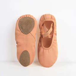 Ballet Dance Shoes for Women Girls Split Soft Sole Stretch Canvas Ballet Slippers Elastic Fabric Professional Ballet Shoes