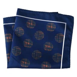 Tailor Smith New Arrival 30x30cm Big Size Handkerchief Men Fashion Chest Towel Paisley Floral Dot Soft Suit Hanky Pocket Squares