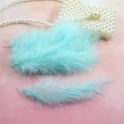 Natural Feathers 10-15cm Turkey Plume 4-6 Inches Chicken Feather Colorful Plumas Para Manualidades For Wedding Dress Decoration