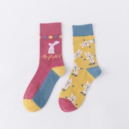 Trendy Socks Ab Paragraph Pure Cotton High Tube Socks Creative Cartoon Small Flowers New Autumn and Winter Stockings Female Sock
