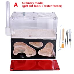 Acrylic Ant Farm Infinite Splicing Ant Nest Temperature Control Concrete Insect House Colony Drinker Anthill Kit Accessories