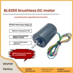 Mini DC Brushless Permanent Magnet Geared Motor Hall Drive High Speed Motor DC 12V 24V Built-In Drive BL4260