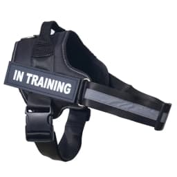 Dropshipping Personalized Dog Harness Reflective Adjustable Dog Harness Tank Top Free Custom Name Label Dog Training Supplies